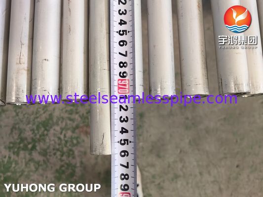 ASME SA213 TP304 S30400 Tubo Senza Saldatura in Acciaio Inossidabile per Caldaia