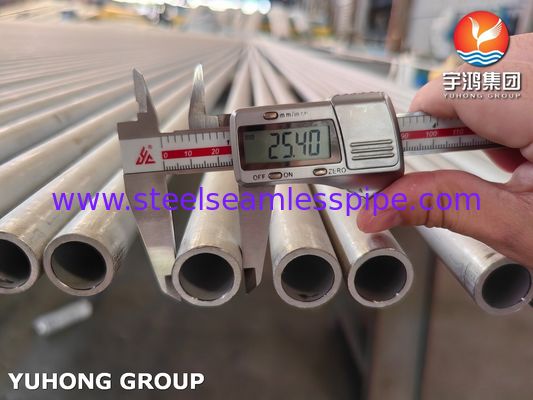 ASME SA213 TP304 S30400 Tubo Senza Saldatura in Acciaio Inossidabile per Caldaia