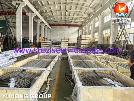 Scambiatore di calore in acciaio inossidabile Tubo a U A213/SA213 TP304L Ricotto Brillante BA Senza saldatura Grado TP304L / UNS S30403