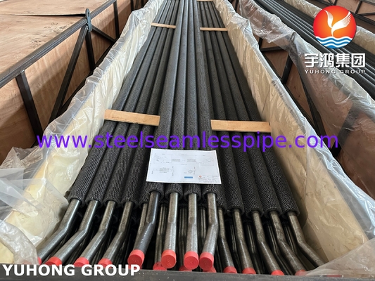 ASTM A213/ ASME SA213 T22 Tubo alettato HFW scanalato Due porte possono essere a U per generatore di vapore a recupero di calore