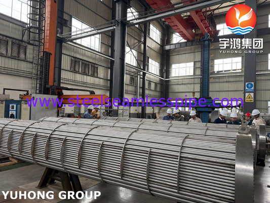 BV ispezionato SA182 F11 GR.2 Conchiglia di foglio di tubo e scambiatore di calore di tubo TEMA tipo R per un trasferimento di calore ottimale