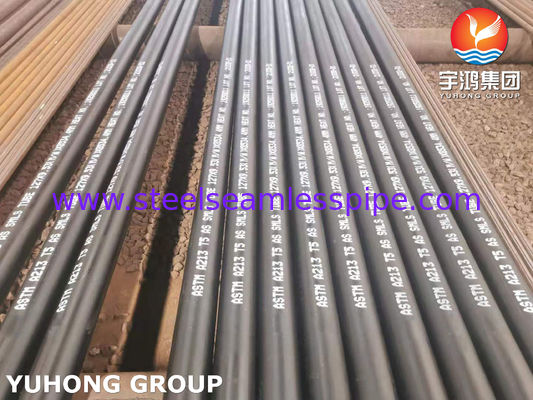 ASTM A213 T5 (UNS K41545) Tubo senza cuciture in acciaio legato per caldaie e supercaldaie