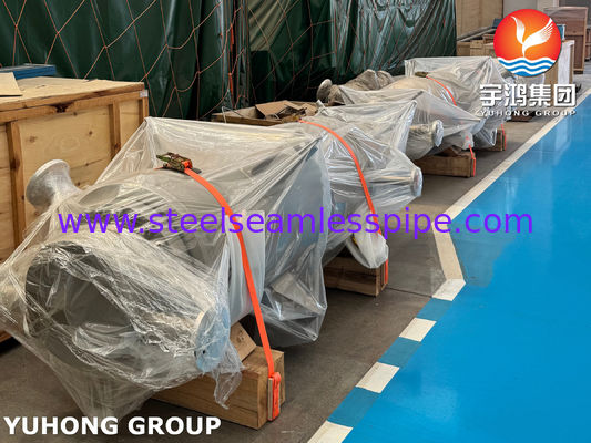 TEMA CERTIFICATO U BEND TUBE HEAT EXCHANGER per raffinerie