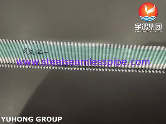 SUS304 Medical AV Fistula Needle Tube per la terapia di emodialisi, puntura posteriore dell' occhio