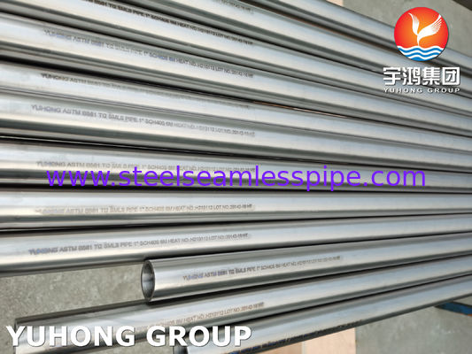 ASTM B861 GR.2 UNS R50400 Tubo in Titanio Non Legato per Alta Resistenza alla Corrosione