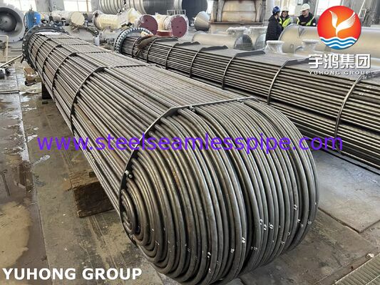 STAINLESS STEEL HEAT EXCHANGER TUBE BUNDLE A179 A213 TUBE WITH TUBESHEET BAFFLE (tubo in acciaio inossidabile per lo scambio di calore)