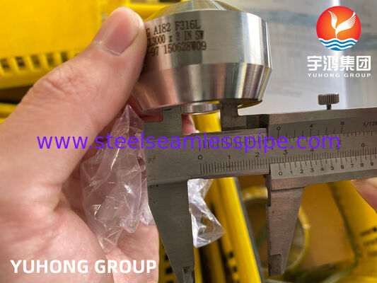 Raccordo in acciaio inossidabile ASTM A182 F316/F316L Weldolet BW MSS-SP-97