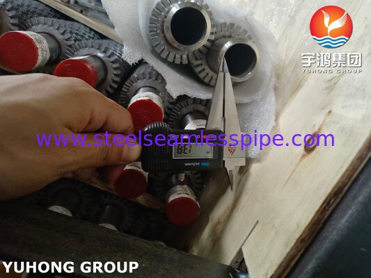 TP304H Base / SS304 Fin