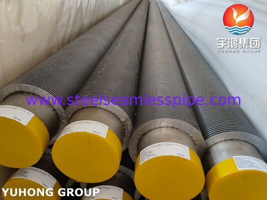 ASTM A376 TP347H Fin Tube CS, tubo composito resistente alle alte temperature (base CS + TP347H Fin)