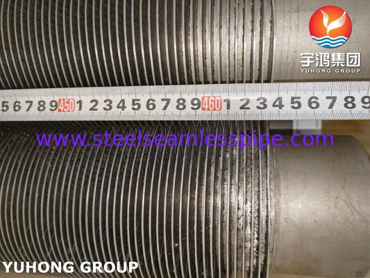 ASTM A376 TP347H Fin Tube CS, tubo composito resistente alle alte temperature (base CS + TP347H Fin)
