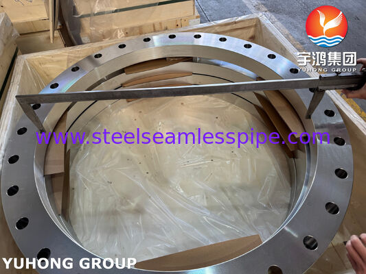 EN1092-1 Tipo 01A Flangia a Piastra A182 F316L Flangia in Acciaio Inossidabile Flange a Faccia Piana