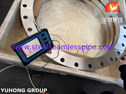 EN1092-1 Tipo 01A Flangia a Piastra A182 F316L Flangia in Acciaio Inossidabile Flange a Faccia Piana