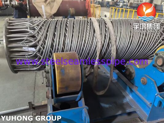 Acciaio inossidabile spirale tubo di ferita ASME SA213 TP304/316L High-Efficiency Heat Exchanger Bundle per le applicazioni criogeniche e chimiche