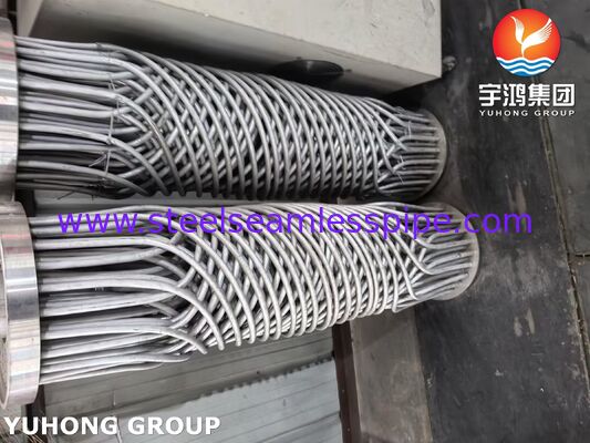 Acciaio inossidabile spirale tubo di ferita ASME SA213 TP304/316L High-Efficiency Heat Exchanger Bundle per le applicazioni criogeniche e chimiche