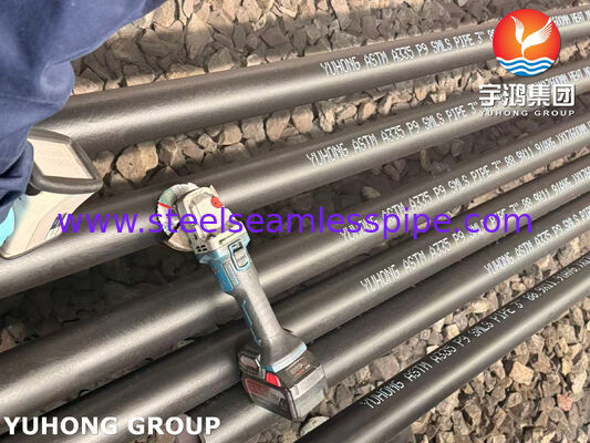 ASTM A335 ASME SA335 P9 Tubo di acciaio in lega senza saldatura resistente al sollevamento ad alta temperatura per fornitori di prodotti petrolchimici e di generazione di energia
