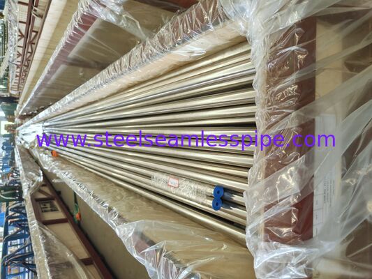 ASME SA213 TP304H Tubo di caldaia senza cuciture per super riscaldatore e riscaldatore