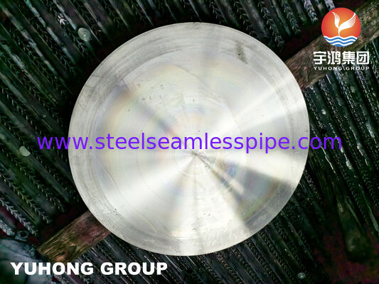 Piastra cieca forgiata in acciaio inossidabile ASTM A182 F304H/faccia piatta flangiata