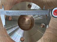 Flange di acciaio inossidabile del nichel 200 UNS N02200 di ASTM B564