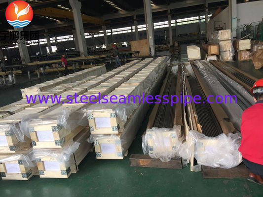 B111/SB111 C71500 Tubo di rame e nichel O61 Tubo senza cuciture a freddo e ricoperto di rivestimento per evaporatori