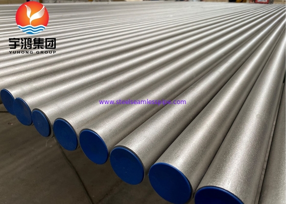 ASME SB407 Incoloy 800H / UNS N08810 Tubo senza saldatura in acciaio legato al nichel