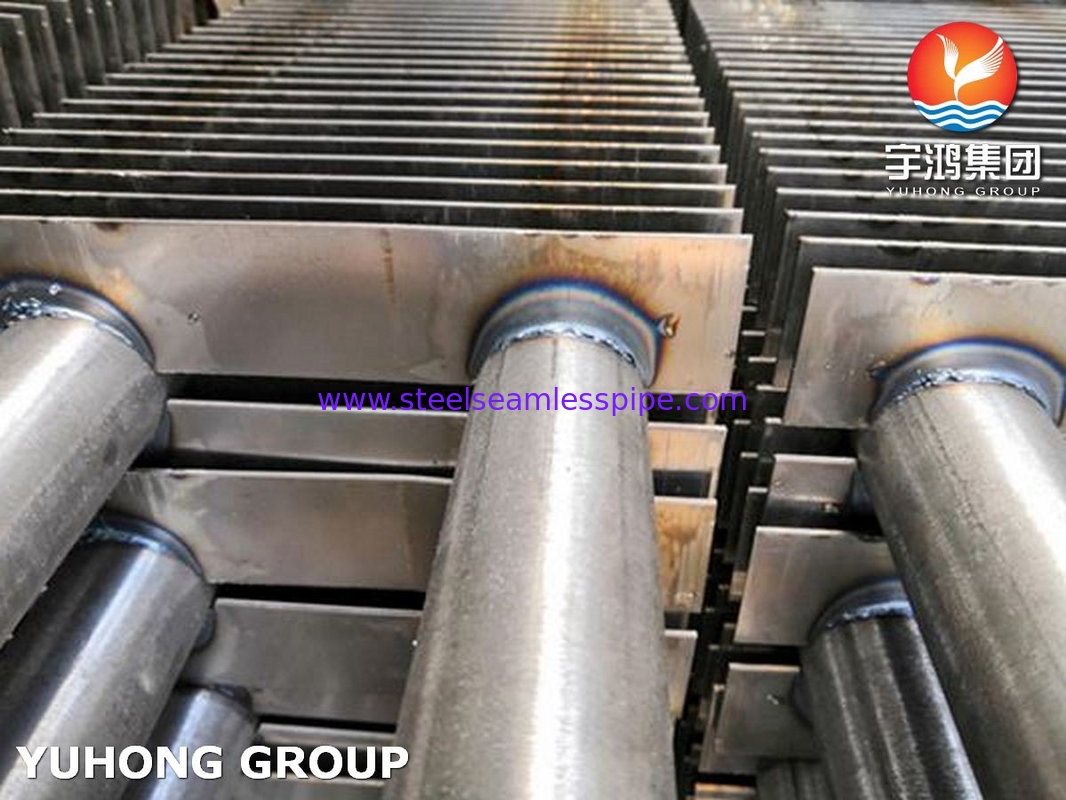 Tubo a pinna di acciaio inossidabile tipo H A213 TP316L con pinna SS SS316L per riscaldatore di fumo