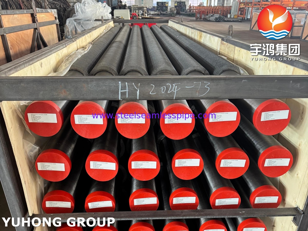 ASTM A335 P11 Acciaio legato ad alta frequenza di saldatura tubo a pinna serrata per HRSG e caldaia