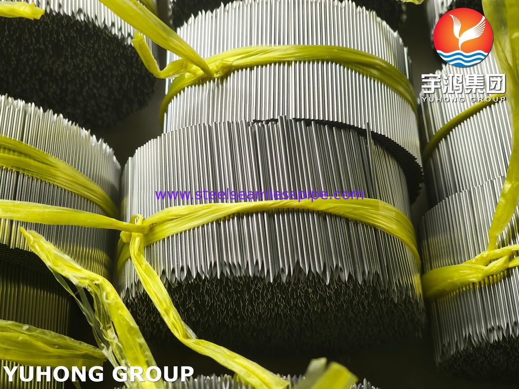 Acciaio inossidabile di grado medico 304 Tubo di ago per iniezione per siringa accessorio ISO7864