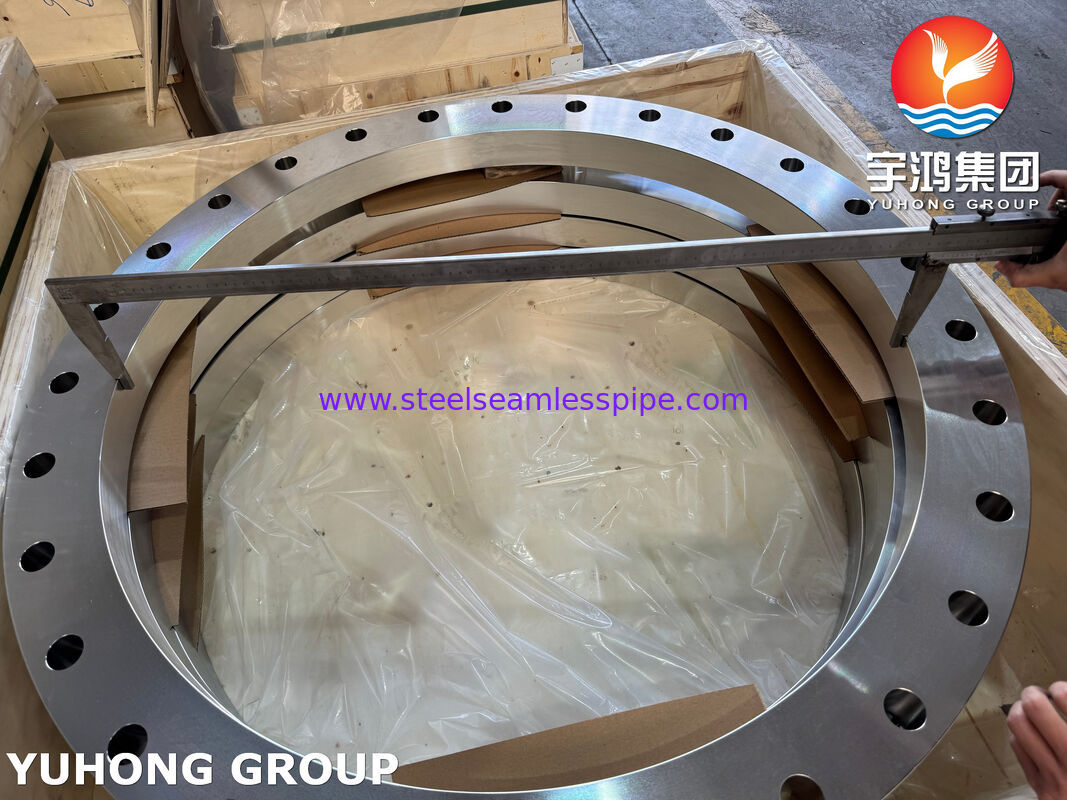 EN1092-1 Tipo 01A Flangia a Piastra A182 F316L Flangia in Acciaio Inossidabile Flange a Faccia Piana