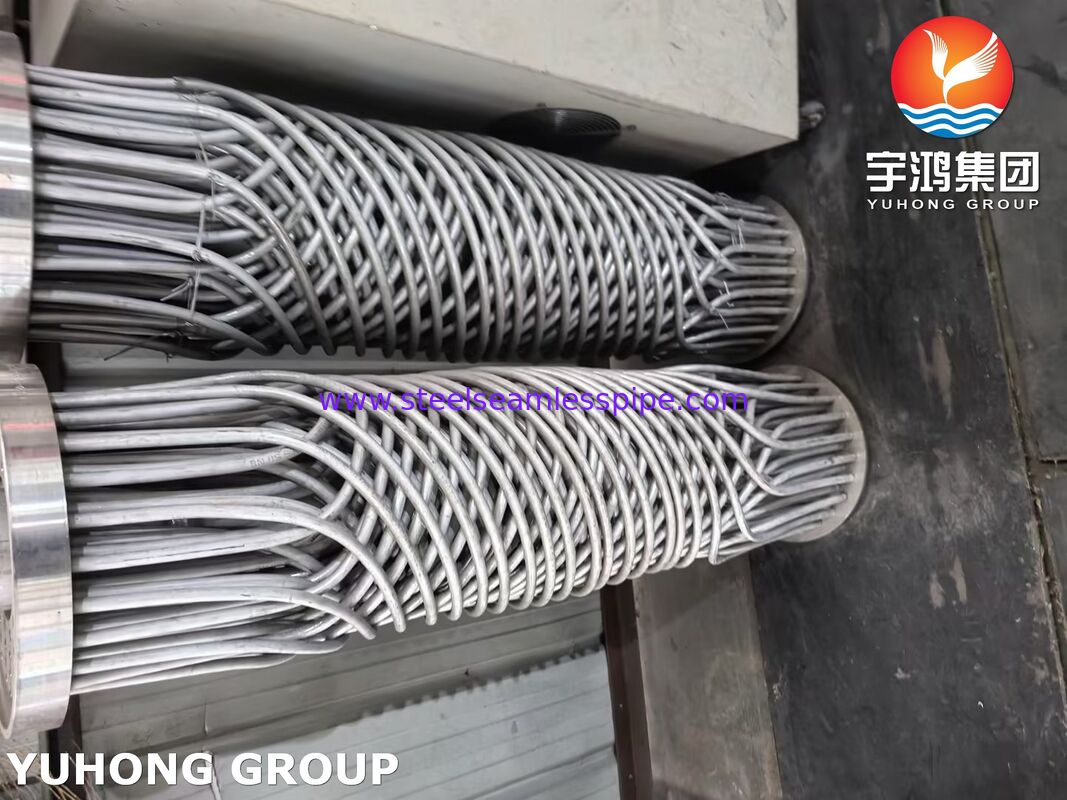 Acciaio inossidabile spirale tubo di ferita ASME SA213 TP304/316L High-Efficiency Heat Exchanger Bundle per le applicazioni criogeniche e chimiche