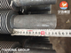 ASTM A213/ ASME SA213 T22 Tubo senza saldatura in acciaio legato con tubo a pinna solida HFW 11CR