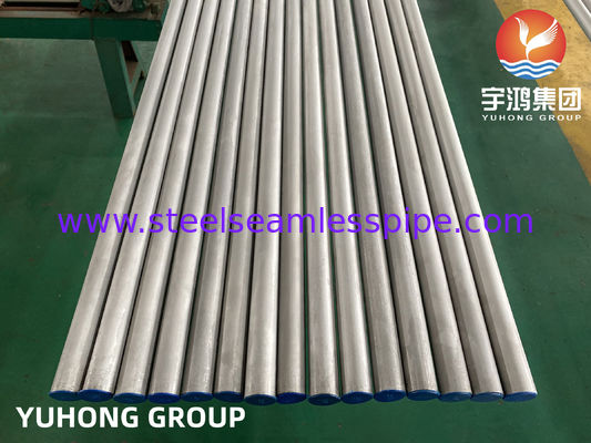 EN10216-5, GOST 9941-81, ASTM A213, A269, A376 TP347 / TP347H Tubo senza saldatura in acciaio inossidabile per caldaie di centrali elettriche