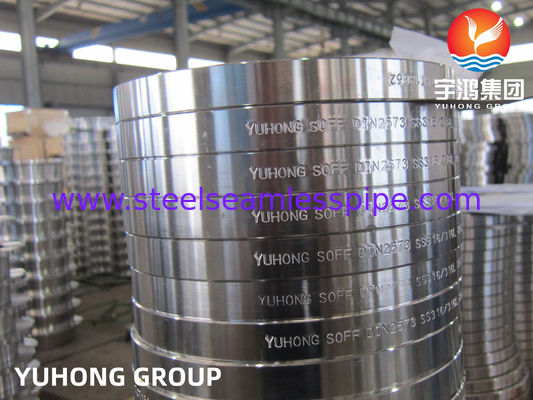 FLANGIA di ACCIAIO INOSSIDABILE, SORF, WNFF, DIN2573, A182, F304, 304L, 304H, SS316, 316L, B16.5