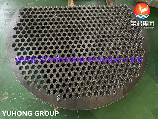 ASME SA283 Gr.C Baffle a singolo segmento per applicazioni negli scambiatori di calore