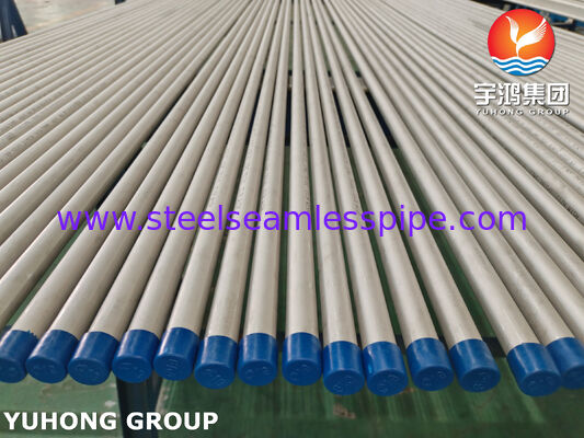 Tubo senza saldatura in acciaio inossidabile ASTM A213 TP316L 1.4404 per trattamento acque, ET / HT