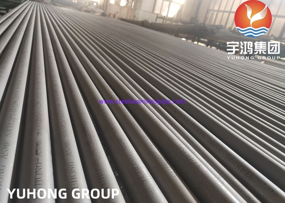 ASTM A312 TP304H ((UNS S30409) Tubo senza cuciture in acciaio inossidabile per l'industria chimica